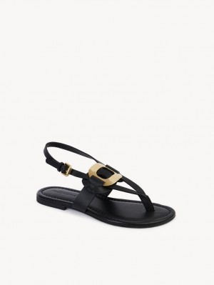 Chloe Chany Sandals Black | CHE-SR14844