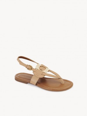 Chloe Chany Sandals Cuoio | CHE-SR14824