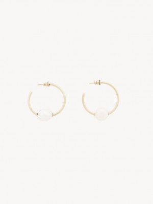 Chloe Darcey Hoop Earrings Pearl | CHE-SR14441