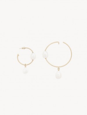 Chloe Darcey Hoop Earrings Pearl | CHE-SR14442