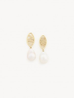 Chloe Darcey Lace Drop Earrings Pearl | CHE-SR14438