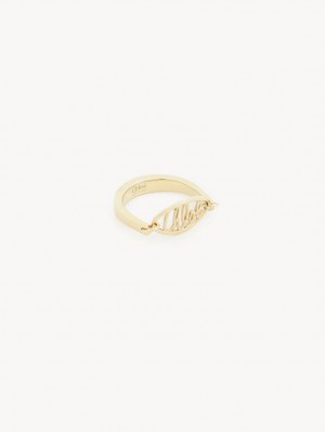 Chloe Darcey Lace Rings GOLD COLOR | CHE-SR14436