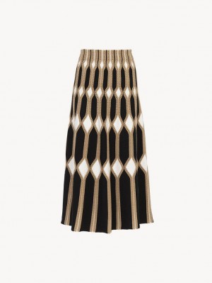 Chloe Flared Mid-length Skirts DESERTIC BROWN | CHE-SR14087