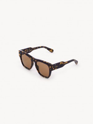 Chloe Gayia Sunglasses BURGUNDY PANSY | CHE-SR14576