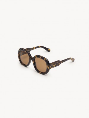 Chloe Gayia Sunglasses BURGUNDY PANSY | CHE-SR14577