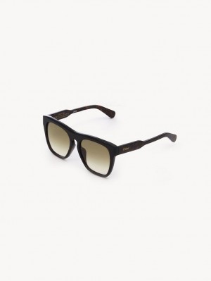 Chloe Gayia Sunglasses Dark Havana | CHE-SR14571