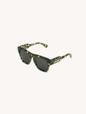 Chloe Gayia Sunglasses VEGETAL GREEN | CHE-SR14580