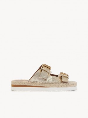 Chloe Glyn Platform Espadrille Sandals SCARLATTO | CHE-SR14831