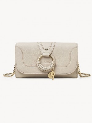 Chloe Hana Chain Long Wallets Cement Beige | CHE-SR14913