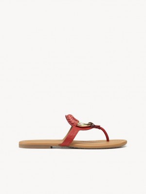 Chloe Hana Flip-flop Flats RED 301 | CHE-SR14817