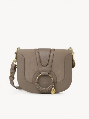 Chloe Hana Shoulder Bags Motty Grey | CHE-SR14645