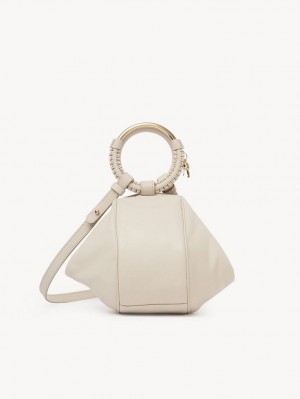 Chloe Hana Wristlet Crossbody Bags Cement Beige | CHE-SR14720