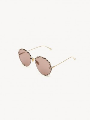 Chloe Idora Sunglasses GOLD / NUDE | CHE-SR14508