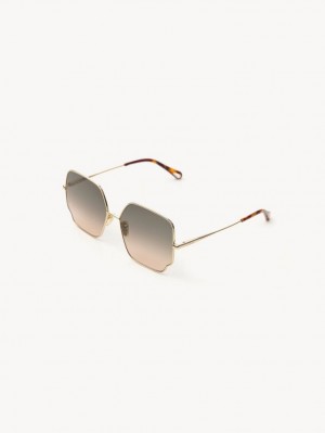 Chloe Joni Sunglasses BROWN / BEIGE | CHE-SR14541