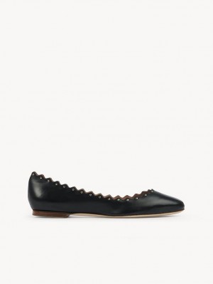 Chloe Lauren Ballet Flat Black | CHE-SR14255