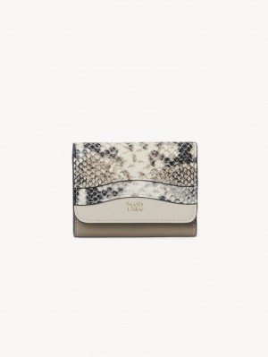 Chloe Layers Medium Tri-fold Compact Wallets Motty Grey | CHE-SR14898