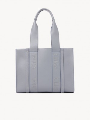 Chloe Medium Woody Tote Bags STORM BLUE | CHE-SR13323