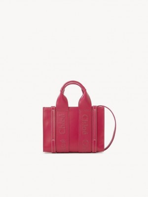 Chloe Mini Woody Crossbody Bags FIZZY PINK | CHE-SR13549