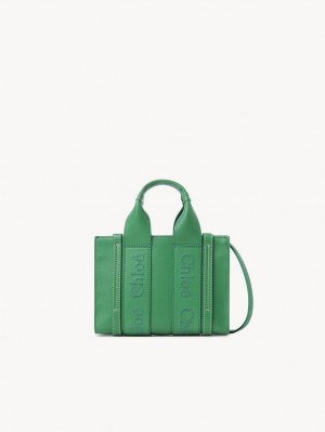 Chloe Mini Woody Crossbody Bags POP GREEN | CHE-SR13527