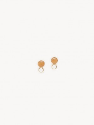 Chloe Ora Earrings Multicolor 1 | CHE-SR14418