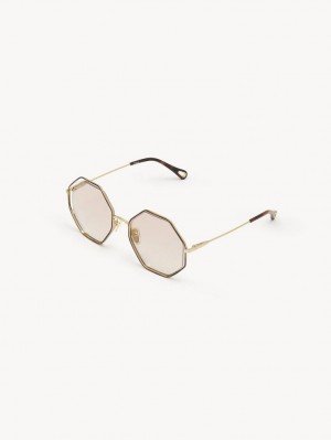 Chloe Poppy Petite Sunglasses GOLD/NUDE | CHE-SR14546