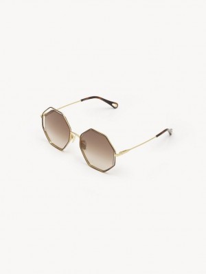 Chloe Poppy Petite Sunglasses HAVANA / BROWN | CHE-SR14545