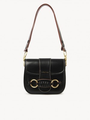 Chloe Saddie Satchel Shoulder Bags Black | CHE-SR14665