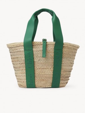 Chloe Sense Medium Baskets POP GREEN | CHE-SR13641