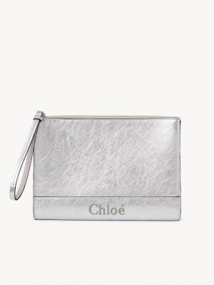 Chloe Sense Zippered Pouches Silver | CHE-SR14323