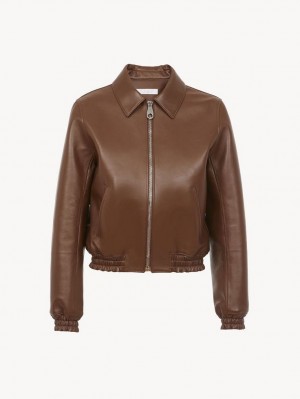 Chloe Short Blouson Jackets DARK CHESNUT | CHE-SR13797