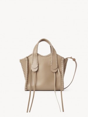 Chloe Small Mony Crossbody Bags ARGIL BROWN | CHE-SR13602