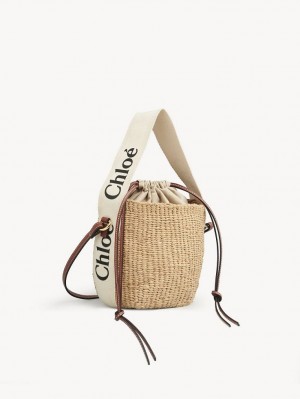 Chloe Small Woody Basket Crossbody Bags White | CHE-SR13609