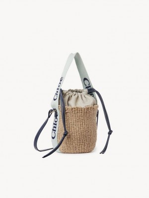 Chloe Small Woody Baskets GREEN - BLUE 1 | CHE-SR13643