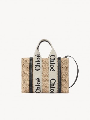 Chloe Small Woody Crossbody Bags Sand | CHE-SR13625