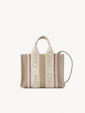 Chloe Small Woody Crossbody Bags WILD GREY | CHE-SR13622