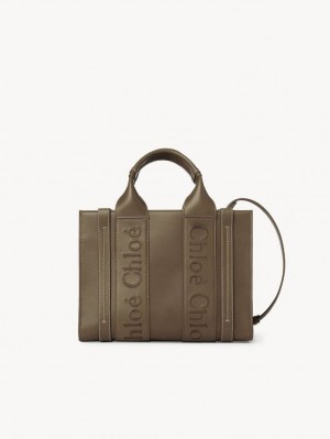 Chloe Small Woody Tote Bags ARMY GREEN | CHE-SR13339