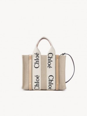 Chloe Small Woody Tote Mini Bags White - Beige 1 | CHE-SR13670