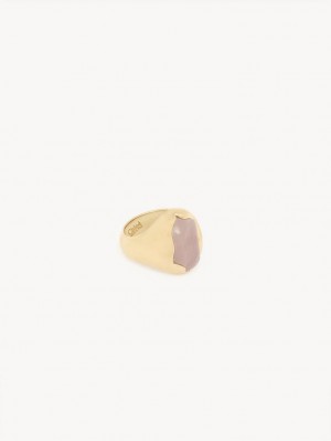 Chloe Sybil Rings Bright Gold | CHE-SR14449