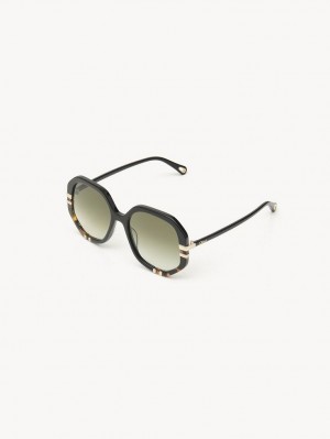 Chloe West Small Sunglasses BLACK/HAVANA | CHE-SR14519