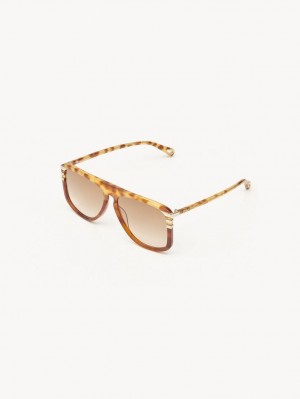 Chloe West Small Sunglasses HAVANA PATCHWORK | CHE-SR14521