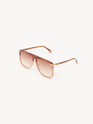 Chloe West Sunglasses HAVANA/PEACH | CHE-SR14548