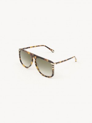 Chloe West Sunglasses Havana | CHE-SR14565