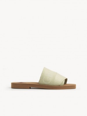 Chloe Woody Flat Mule HAZY GREEN | CHE-SR14181