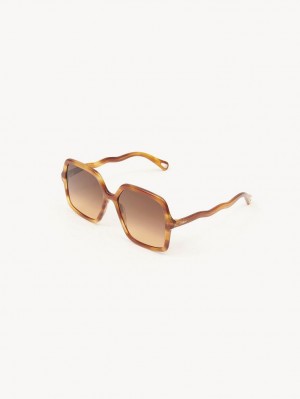 Chloe Zelie Sunglasses Light Havana | CHE-SR14562