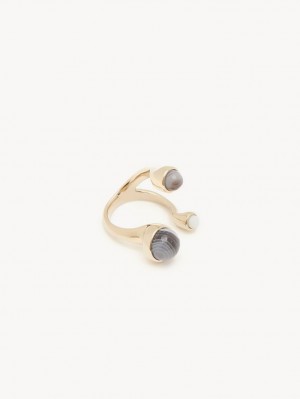 Chloe Zodiac Cancer Rings MULTICOLOR 4 | CHE-SR14382