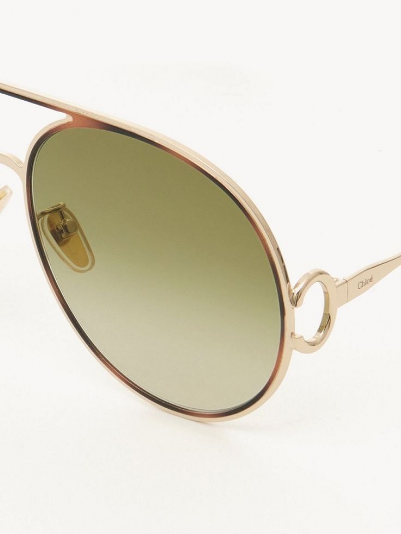 Chloe Austine Sunglasses GOLD/HAVANA/GREEN LENS | CHE-SR14526