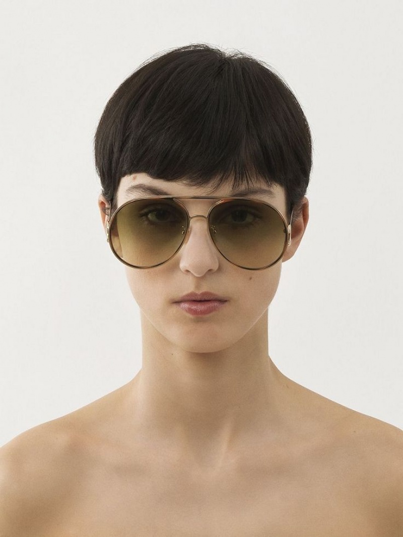 Chloe Austine Sunglasses GOLD/HAVANA/GREEN LENS | CHE-SR14526