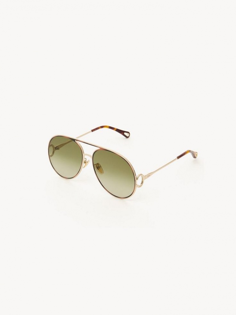 Chloe Austine Sunglasses GOLD/HAVANA/GREEN LENS | CHE-SR14526