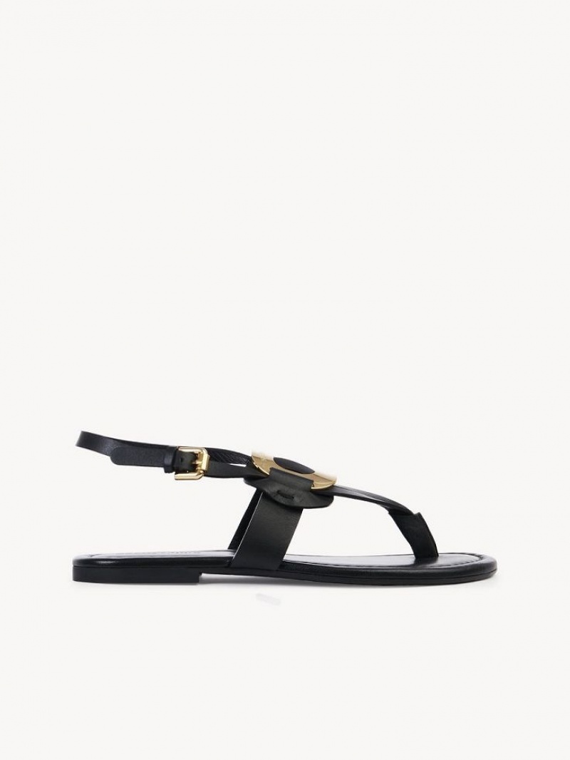 Chloe Chany Sandals Black | CHE-SR14844