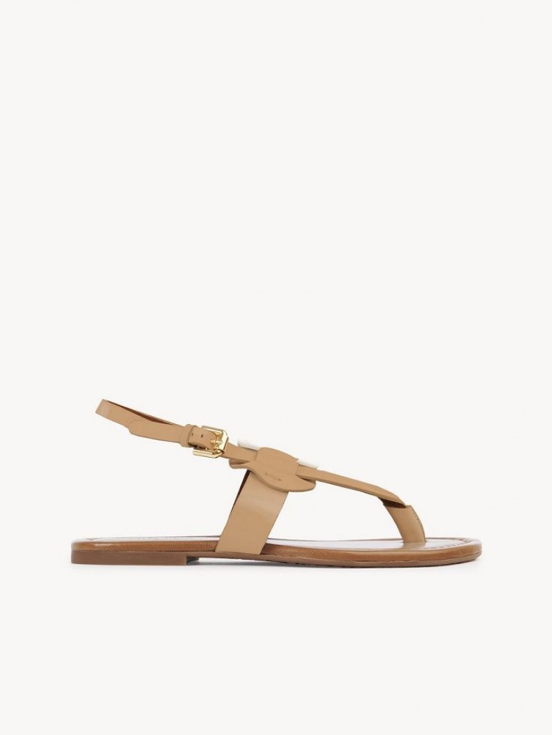 Chloe Chany Sandals Cuoio | CHE-SR14824